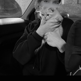 Логотип @dinozavri1 - 𝗗𝗜𝗡𝗢