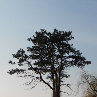 Логотип @diominpoetry - Дьомін.