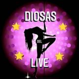 Логотип @diosaslive - 🔥 DIOSASLIVE 🔥