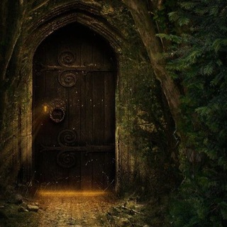 Логотип @diowmc - Двери не заперты