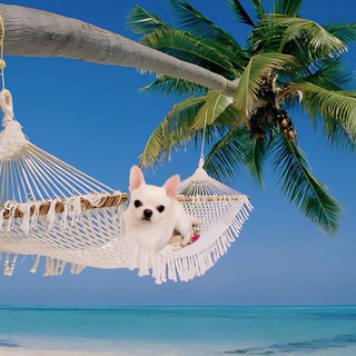 Логотип @dipikkkk - пацанчик дипик😛😛