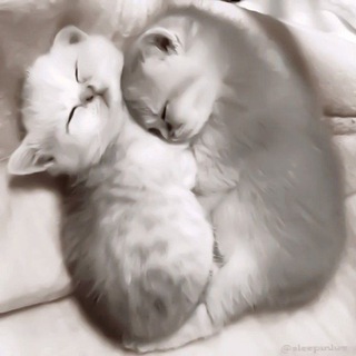 Логотип @dipsiaww - коробочка дипси