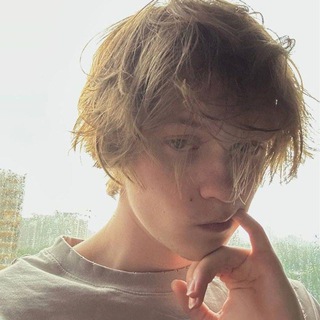 Логотип @dipvinsh - дипвинс на хайпе 🧯