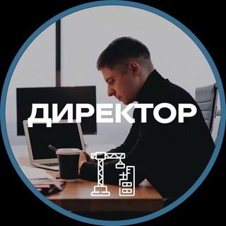 Логотип @direktor_re - Директор