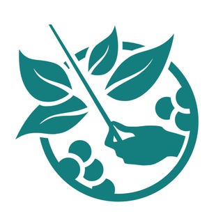 Логотип @dirijer_sada - Дирижер сада