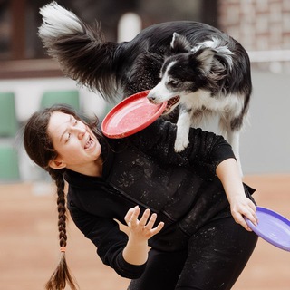 Логотип @discdogs - Дог-фризби с Маргаритой Герман | бкфест