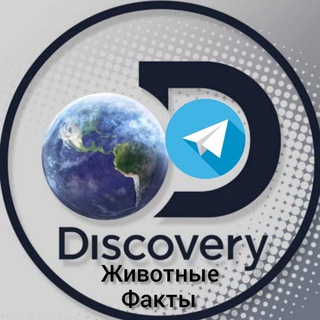 Логотип @discovery_animal - Discovery | Животные | Факты