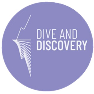 Логотип @discovery_research - Dive&Discovery Research | Опитування