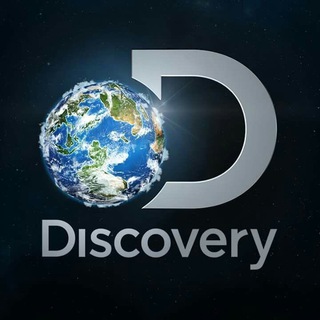 Логотип @discoverycomment - Комментарии Discovery