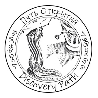 Логотип @discoverypath_talk - чат Путь Открытий