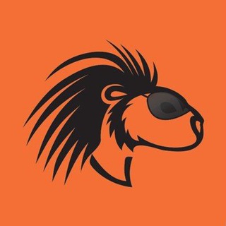 Логотип @discoveryzoo - Живая природа 🍀