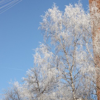 Логотип @discreditator_nn - Будни дискредитатора