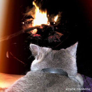 Логотип @discussion_shared_chat - 🖇 Обговорення треків 🥀 Спілкування без обмежень