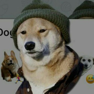 Логотип @discusstaskceo - Обсуждаем US Elections