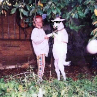 Логотип @disgustang - Даш, ты опять?