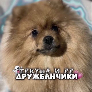 Логотип @dishadianajj - Тикки и ее дружбанчики💋