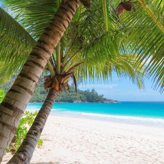 Логотип @diskont_tur - Инвестиции в Недвижимость в г.Сочи и Крым