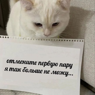 Логотип @dismissed_foodie - Студенческая каша