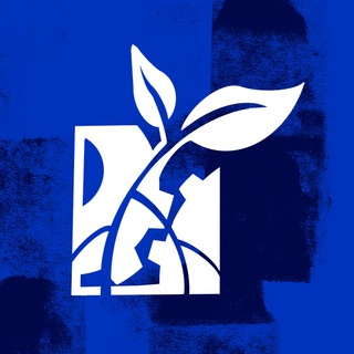 Логотип @disrupt_now - Disrupt now!