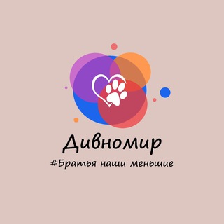 Логотип @div_mir_brother - Дивномир | Братья наши меньшие