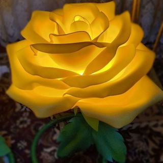 Логотип @divaroses - DivaRose🌹