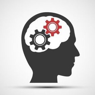 Логотип @divchata_24 - Краткие факты 💡