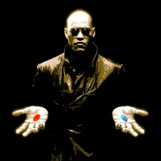 Логотип @divergentrf - Дивергент - здесь твоя свобода 🦅