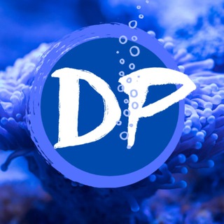 Логотип @divingplace - Divingplace
