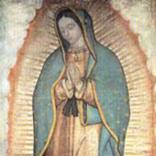 Логотип @divinovoleredivinoamore - DivinoVolereDivinoAmore