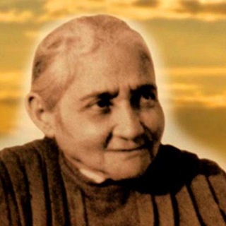 Логотип @divinovoleredivinoamore2 - DivinoVolereDivinoAmore2