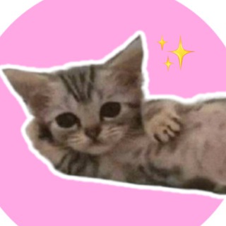 Логотип @divoroom - Вот так диво!☀️