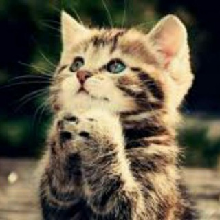 Логотип @divulgatotal - Divulga total