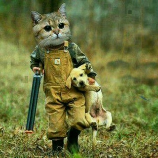 Логотип @diyorbek_20050525 - Dustlar davrasida(ง˃̶͈⚰˂̶́)ง⁼³₌₃