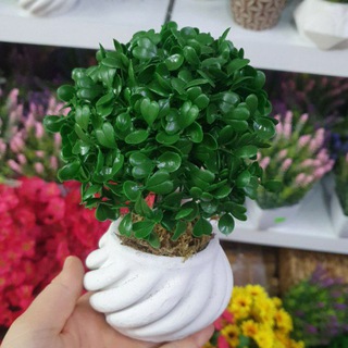 Логотип @diyyashop - BARBARIS HOME