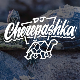 Логотип @djcherepashka - dj cherepashka