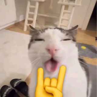 Логотип @djizooooo - djizou