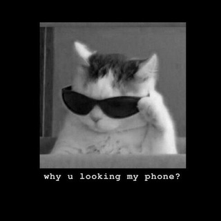 Логотип @djjdkdmemme - Смешные опросы