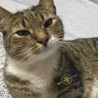 Логотип @djstonik1917 - DJ Stonik1917