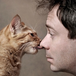 Логотип @dkuklachev - Дмитрий Куклачев