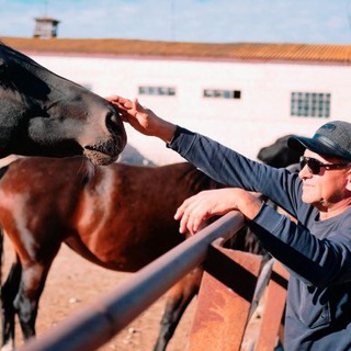 Логотип @dkz63 - ГУП ЛНР "Деркульский конный завод № 63"