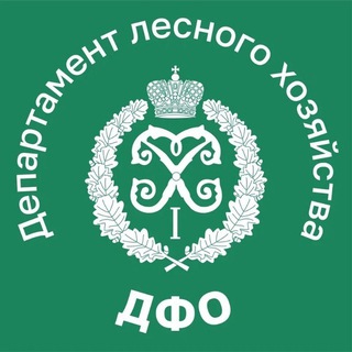 Логотип @dlhdfo - Департамент лесного хозяйства по ДФО