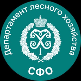 Логотип @dlhsfo - Департамент лесного хозяйства по СФО