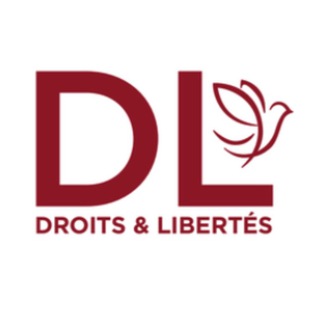 Логотип @dlinfos - DL - Droits et Libertés