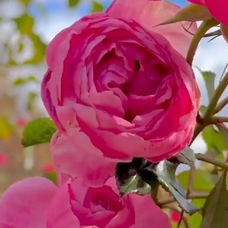 Логотип @dlyadushi90 - ⊅ᴧя ⊅уɯи