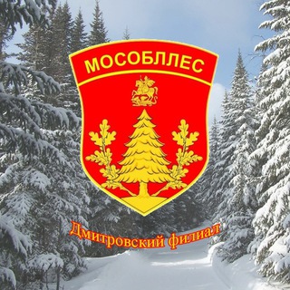 Логотип @dmitrovskiifilial - Дмитровский филиал ГАУ МО «Мособллес»