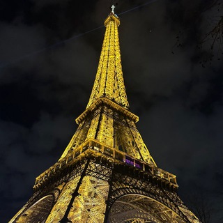 Логотип @dn_forex - DN FOREX COMMUNITY📚