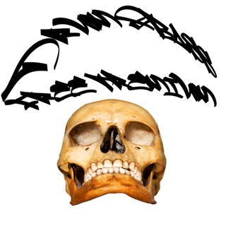 Логотип @dnb_sb - Drum&Bass premium free