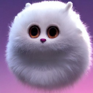 Логотип @dnetlife - Список скамеров