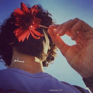 Логотип @dnevn1k_islama - islam_sabr