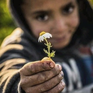 Логотип @dnevnichokozz - ᴅⁿᵉᵛⁿⁱᵏ